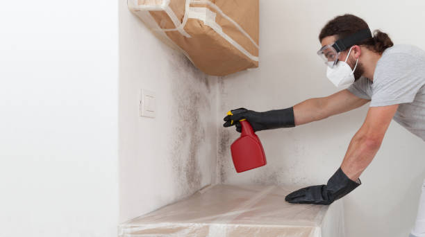 Professional Mold Inspection And Testing technician working in Woodland, PA